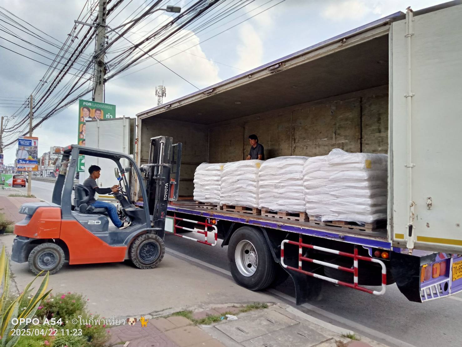 Forklift operator loading palletized goods onto truck - professional cargo operations
